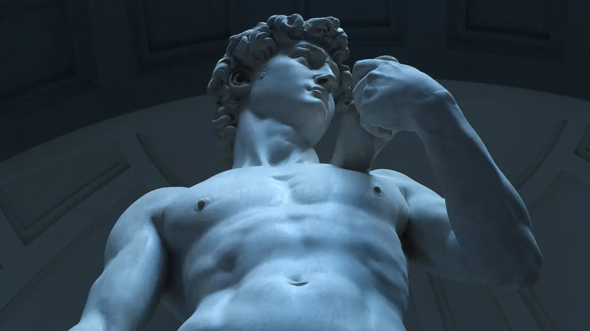 The upper body of Michelangelo's David